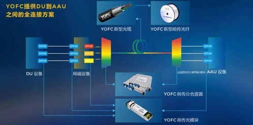 長飛公司攜手學(xué)術(shù)創(chuàng)新，共塑光纖通信新未來